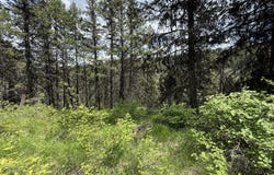 TBD SLIPPERY HILL RD, REPUBLIC, WA 99166