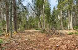 35 Aspen Lane, Steuben, ME 04680