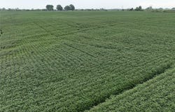 590th Street, IA 52555