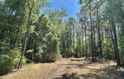 Mcnair Springs Road, Magee, MS 39111
