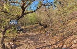 203 Stage Coach Pass, Fort Davis, TX 79734