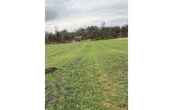 01 SCHOLES Ln, Stanton, TN 38069