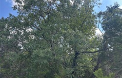 74 Deer Ridge Rd, Wimberley, TX 78676