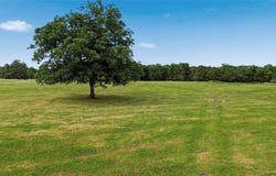 County Road 3090, Ben Franklin, TX 75415