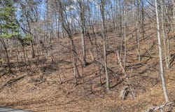 Hemlock Trail, Columbus, NC 28722