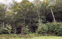 45 Buckboard Drive, Dover, VT 05356