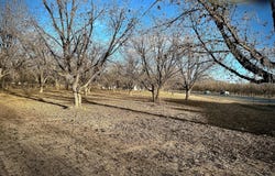 Gillett Street, Canutillo, TX 79835