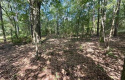 Mrytle St, Daleville, AL 36322