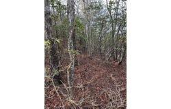 Howell Road, Brevard, NC 28712