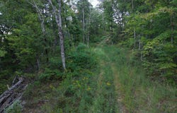 11766 Highway 65, Dennard, AR 72629