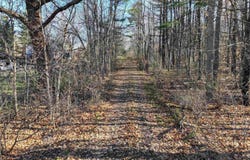 Route 7 S, Middlebury, VT 05753