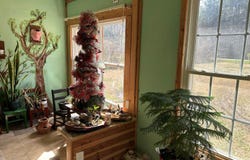 1039 Pine Ridge Road, Merry Hill, NC 27957