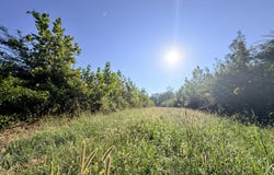 1 Butler Road, Vaughan, MS 39179