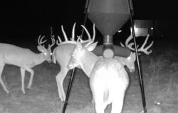 1926 County Road 333, Dublin, TX 76446