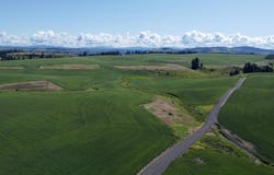 Basket Rd Parcel 2, Nezperce, ID 83543