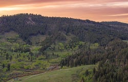 Petterson Road, Wilsall, MT 59086