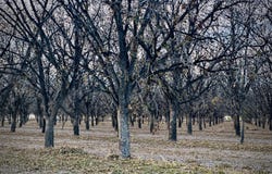 Gillett Road, Anthony, NM 88021