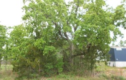 441 Tom Tom, Smithville, TX 78957