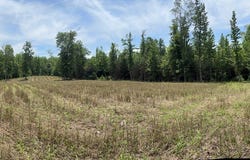 Hamilton Rd TR # 2, SPRINGVILLE, TN 38256