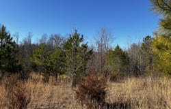 No Pone Valley Road, Georgetown, TN 37336
