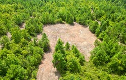 02 Count Road 1174, Goshen, AL 36079