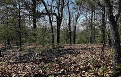 Horton Hill Road, Mountain View, AR 72680