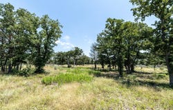 Tract 3 Edgewood Trail Rd, Paige, TX 78659