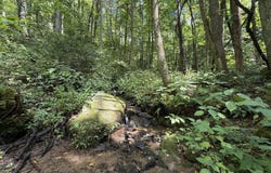 Dennis Cove Rd, Hampton, TN 37658