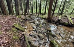 Songer Rd, Sigel, PA 15860
