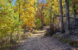 Tract 16 CR 1562 lot: 16, Eureka Springs, AR 72632