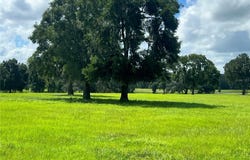 NW 464B Highway, MORRISTON, FL 32668