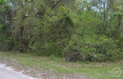 S Hickory Street, Bloomingdale, GA 31302