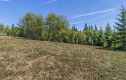 Old Tree Farm Dr, Longview, WA 98632