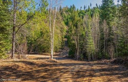 Cedar Acres lot: 1 & 2, Priest River, ID 83856