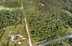 NE Hwy 349, Old Town, FL 32680