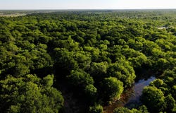 Symank Road, Megargel, TX 76370