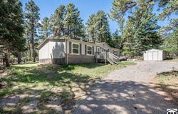 8220 Maple Dr, Rye, CO 81069