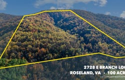 2728 E Branch Loop, Roseland, VA 22967