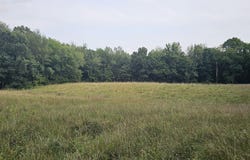 473 Block Road, Coldwater, MI 49036