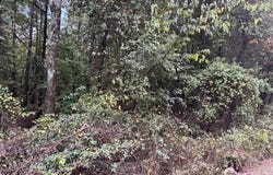 Perkins, Bonnerdale, AR 71957