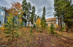 870 Ferret Lane, Fraser, CO 80442