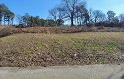 Holcomb St, HOLLOW ROCK, TN 38342