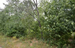 FISHER ROAD, TRAVERSE CITY, MI 49685