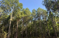 Tract 3A Cr 2322, Rusk, TX 75785
