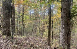 County Road 56, Carrollton, MS 38917