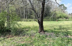 Old Columbus Road, Bowdon, GA 30108