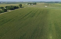 Hwy 75, Luverne, MN 56156