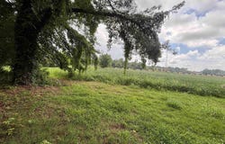 Morrow Road, Fulton, KY 42041