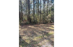 NHN E Lake Cypress, Hancock Co, MS 39573