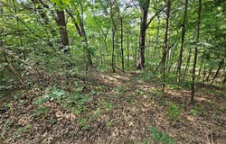 9468 Bent Tree Drive, Hillsboro, MO 63050